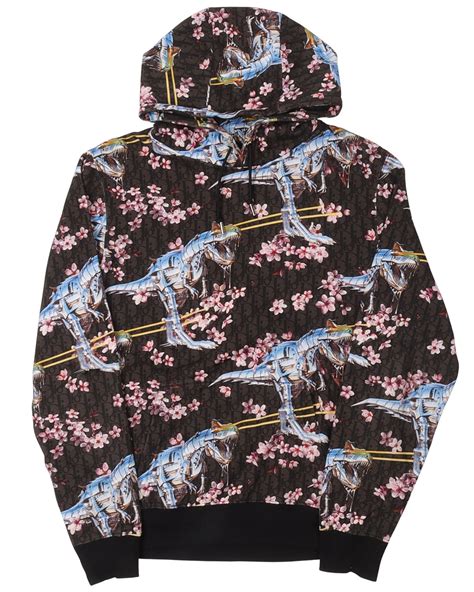 dior dinosaur sweatshirt